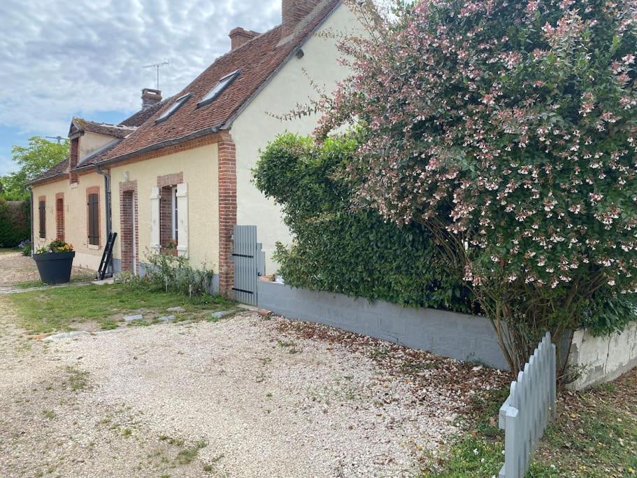 Petite Maison De Bourg Hébergement de vacances